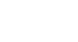Penguin Capital